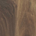 Australian Walnut Splash