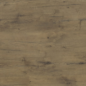 Pale Lancelot Oak